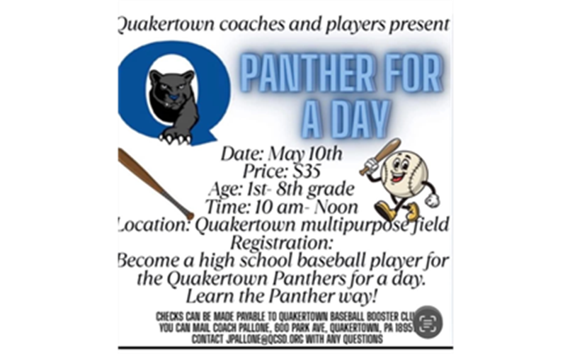 Panther for a Day